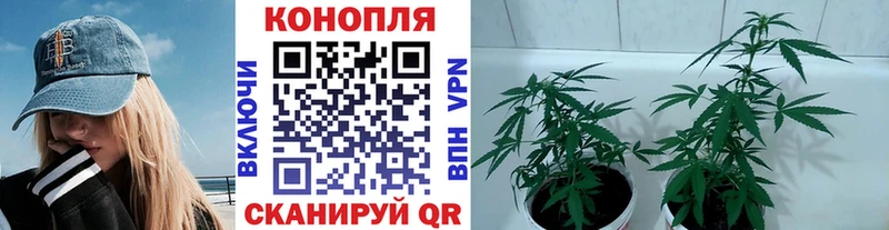 Меф мяу мяу Фокино