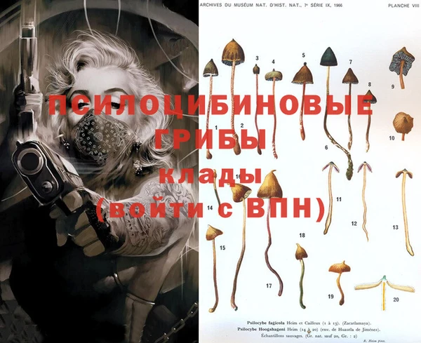 ПСИЛОЦИБИНОВЫЕ ГРИБЫ Ладушкин
