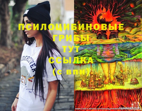 молекула духа Лагань