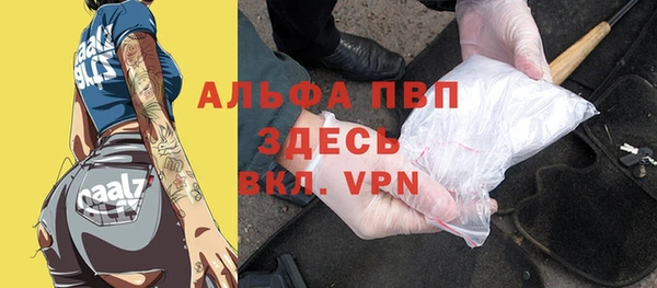 ПСИЛОЦИБИНОВЫЕ ГРИБЫ Ладушкин